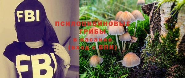 винт Белокуриха