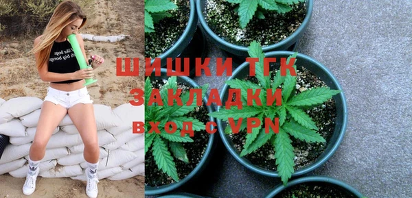 винт Белокуриха